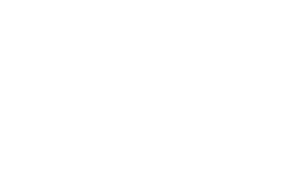 Salvaje